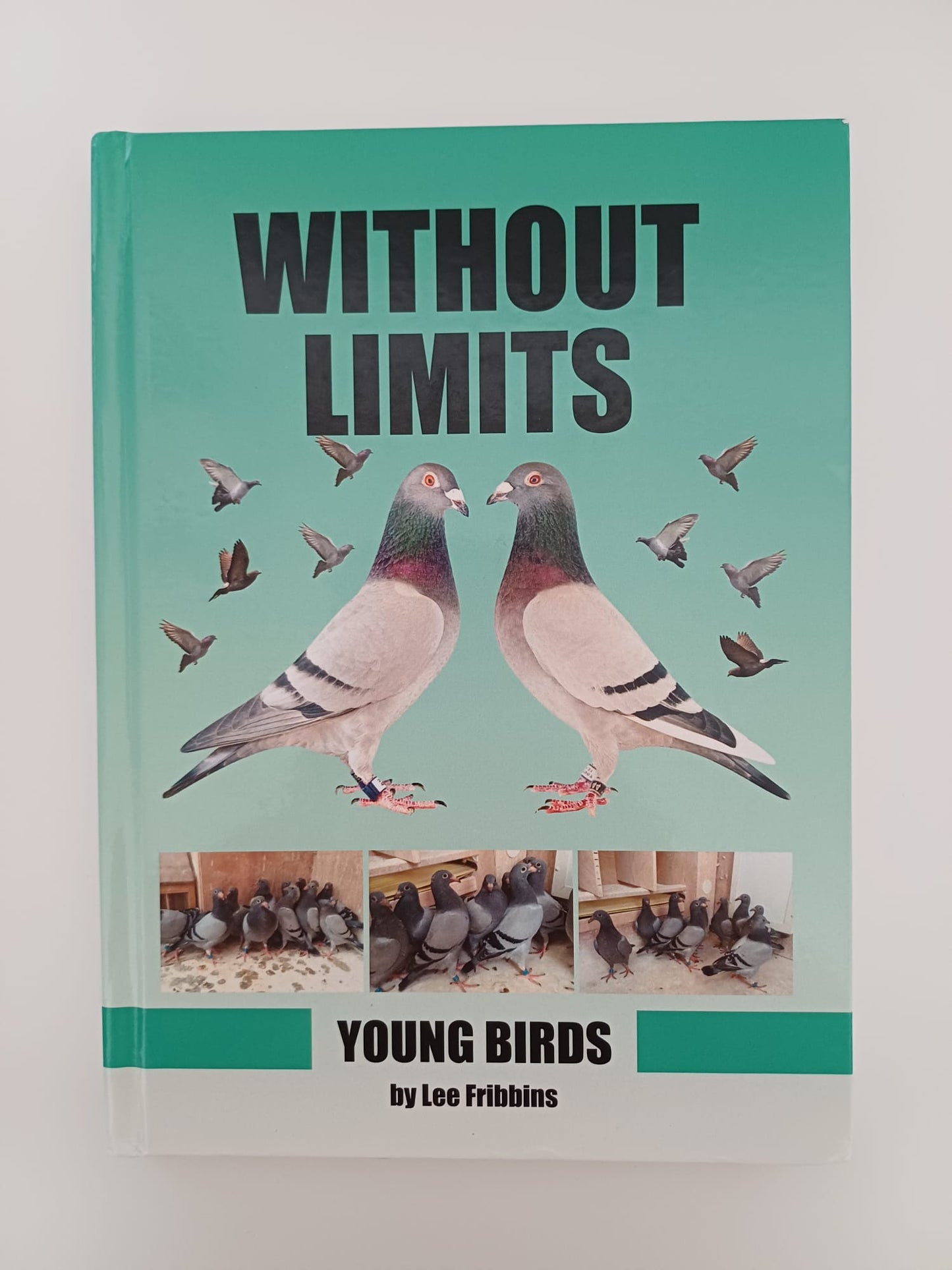 Without Limits Young Birds – Racing Pigeon Book by Lee Fribbins
